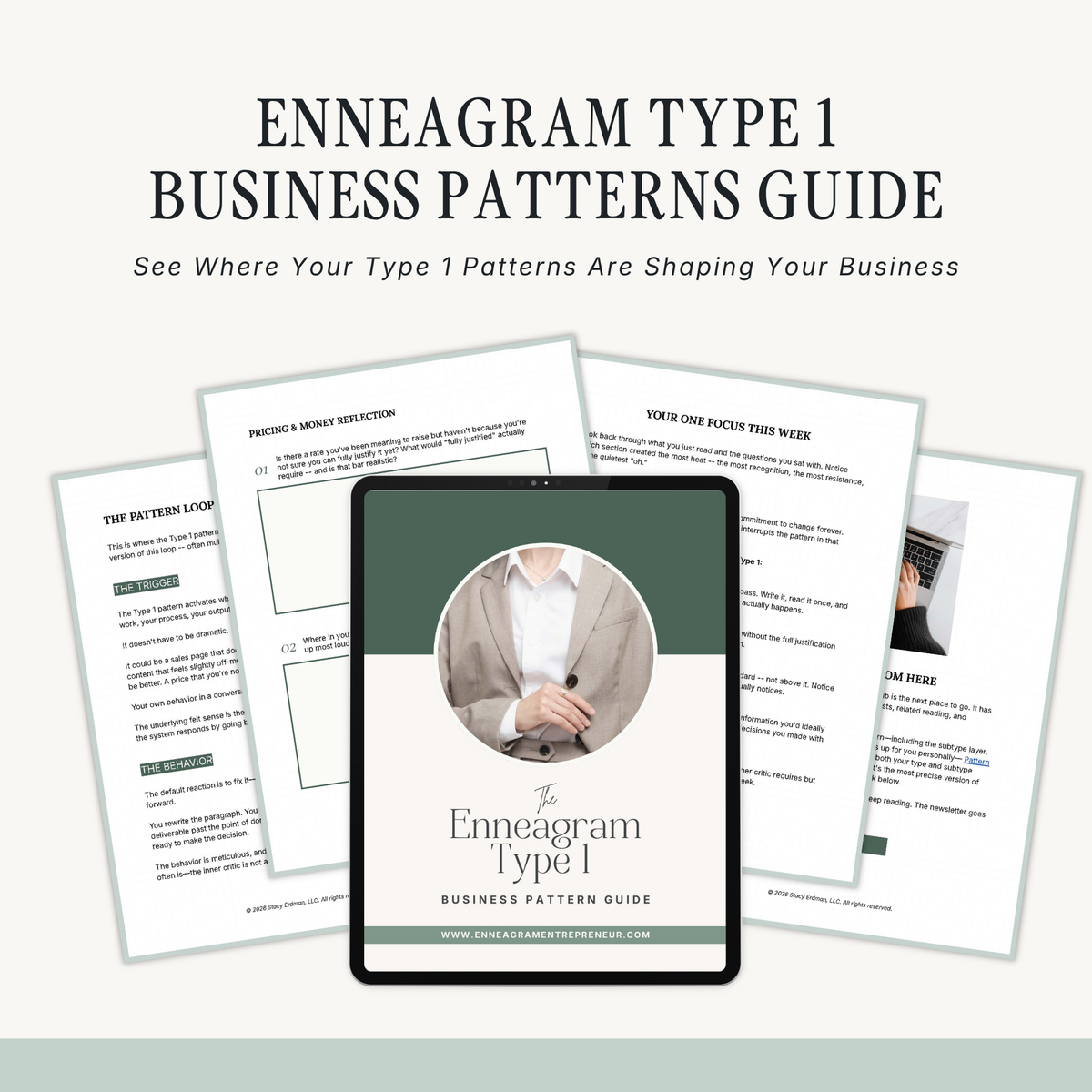 Enneagram Type 1 Business Pattern Guide
