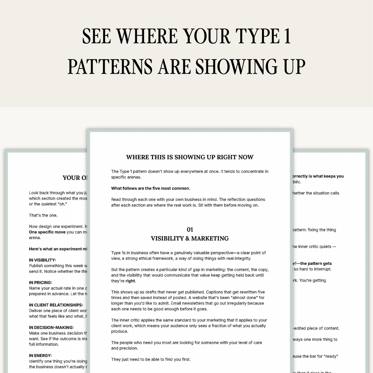 Enneagram Type 1 Business Pattern Guide