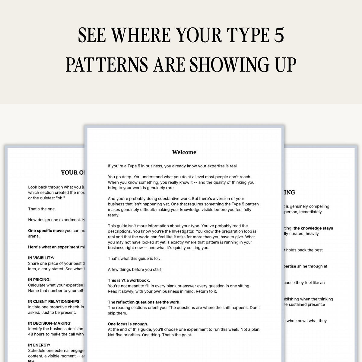Enneagram Type 5 Business Pattern Guide