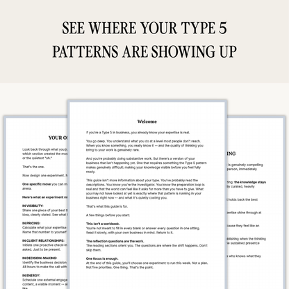 Enneagram Type 5 Business Pattern Guide