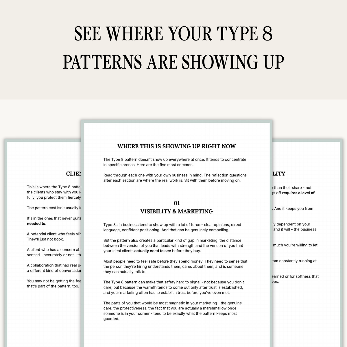 Enneagram Type 8 Business Pattern Guide