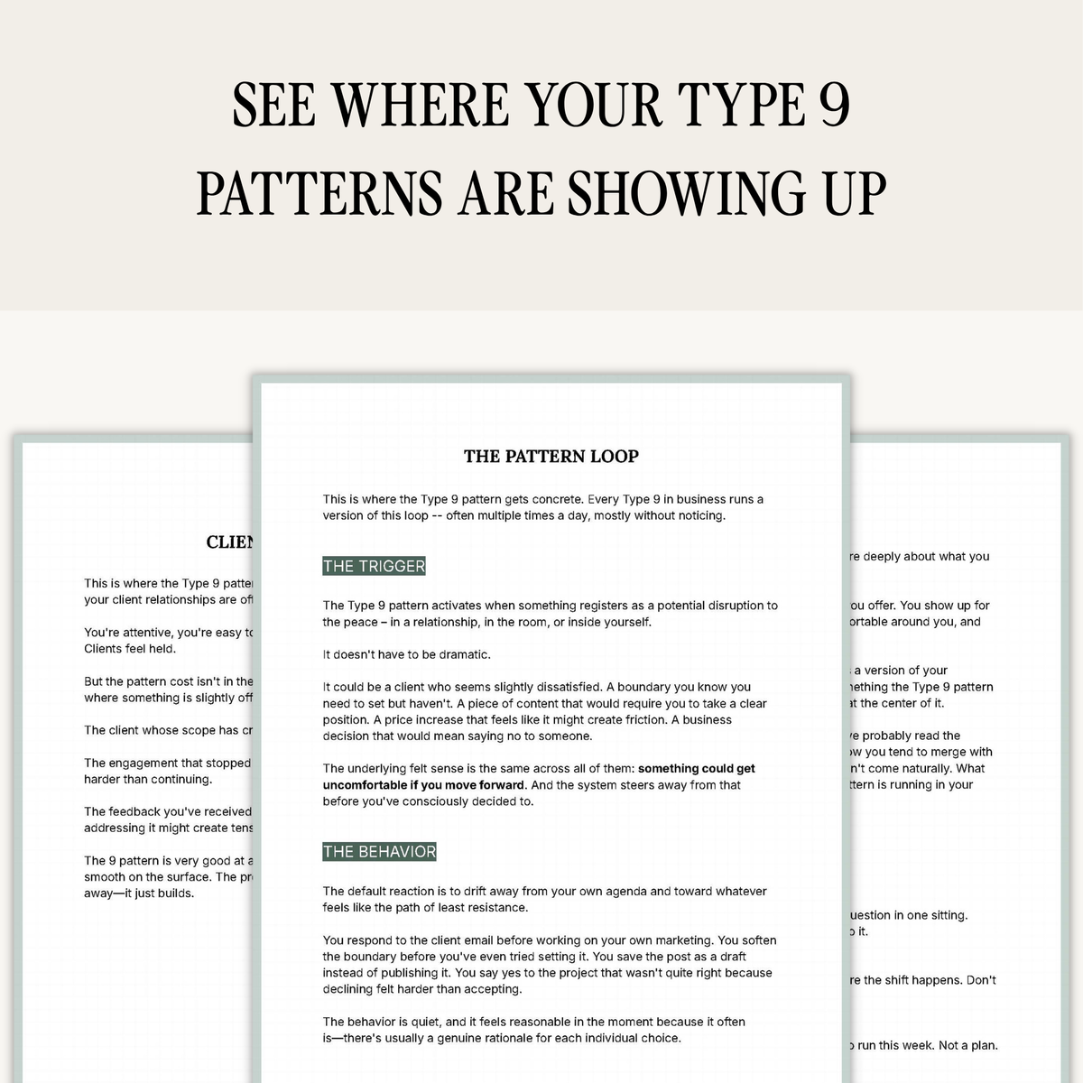Enneagram Type 9 Business Pattern Guide