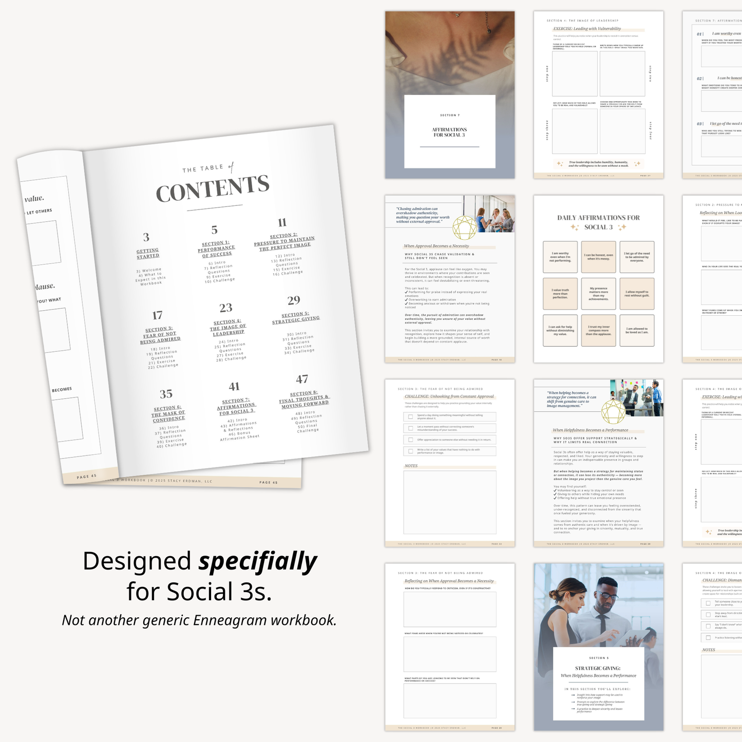 Enneagram Social 3 Workbook (SO3)