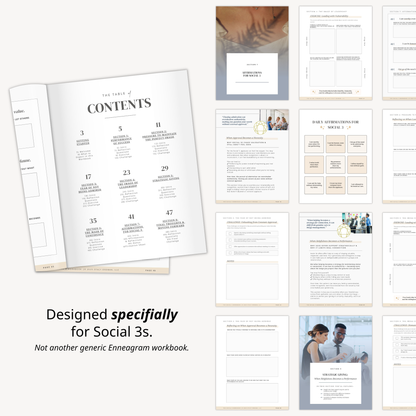 Enneagram Social 3 Workbook (SO3)