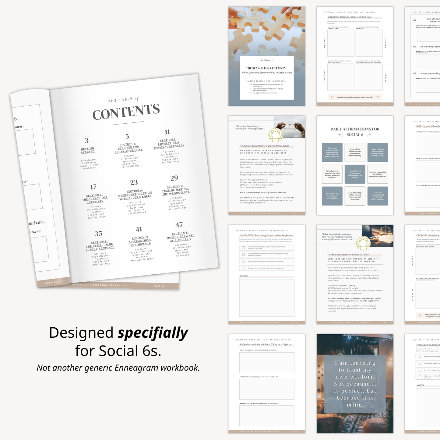 Enneagram Social 6 Workbook (SO6)