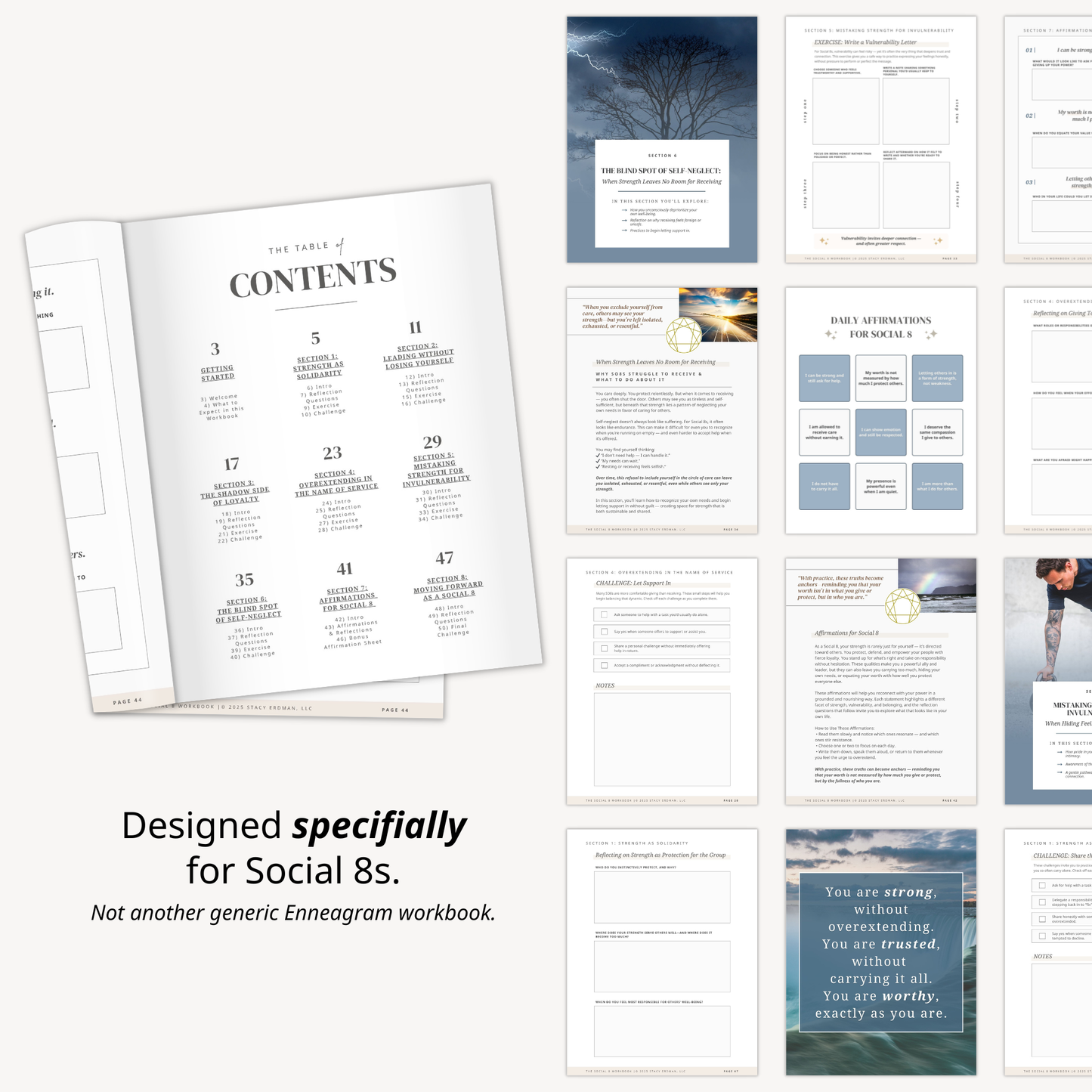 Enneagram Social 8 Workbook (SO8)