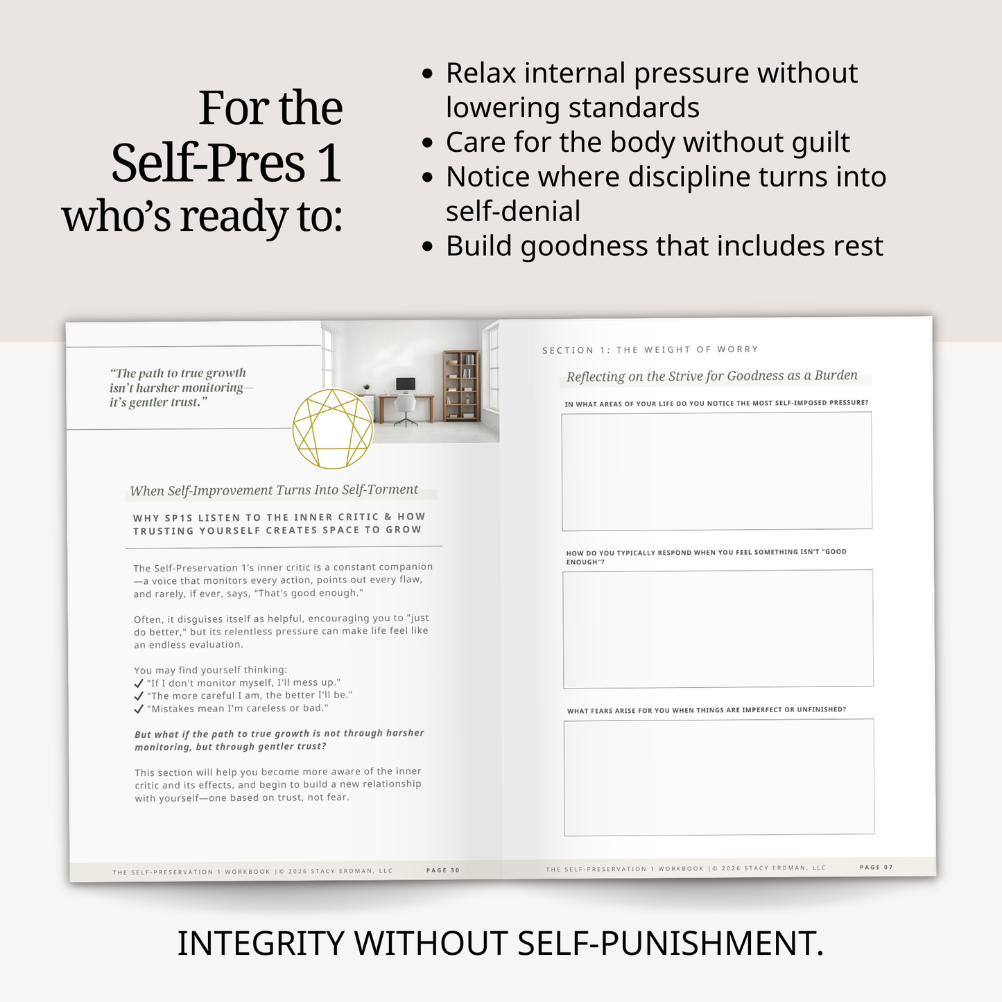 Enneagram Self-Preservation 1 Workbook (SP1)