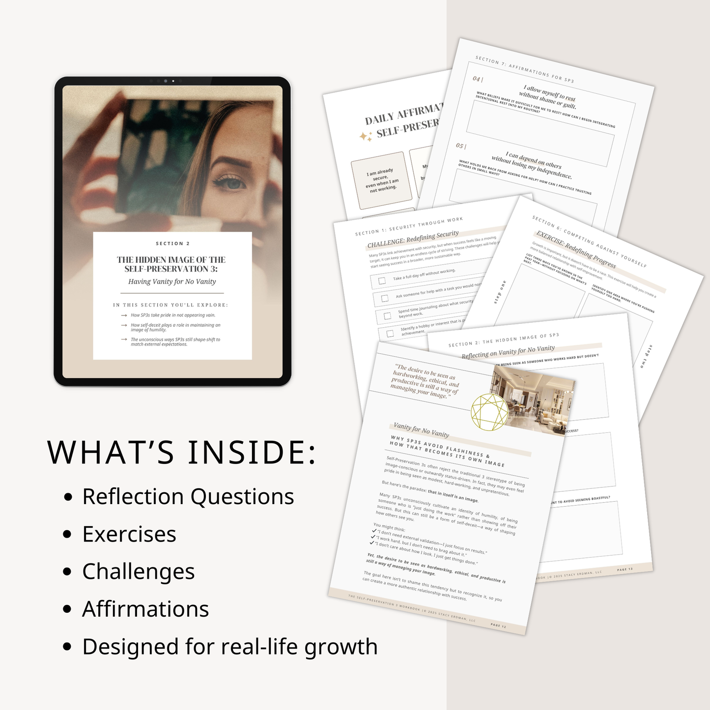 Enneagram Self-Preservation 3 Workbook (SP3)