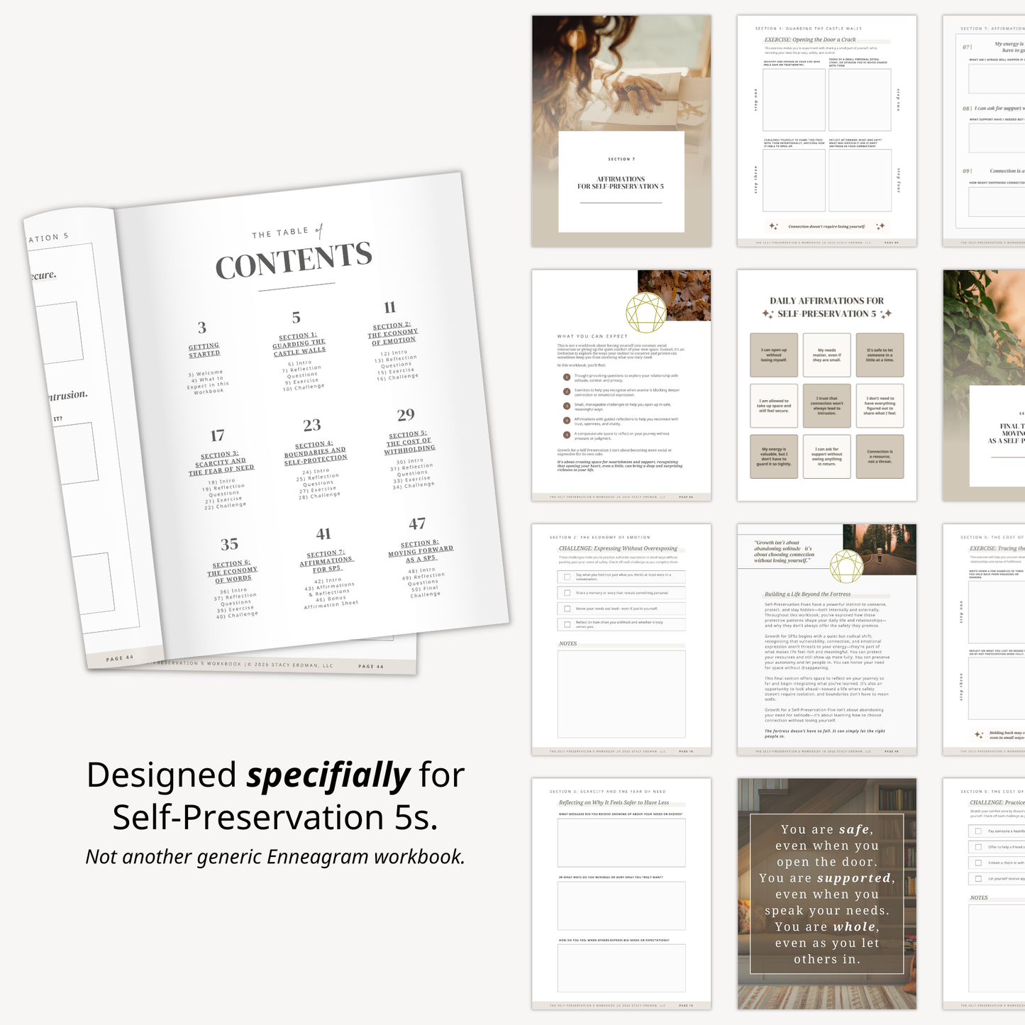 Enneagram Self-Preservation 5 Workbook (SP5)