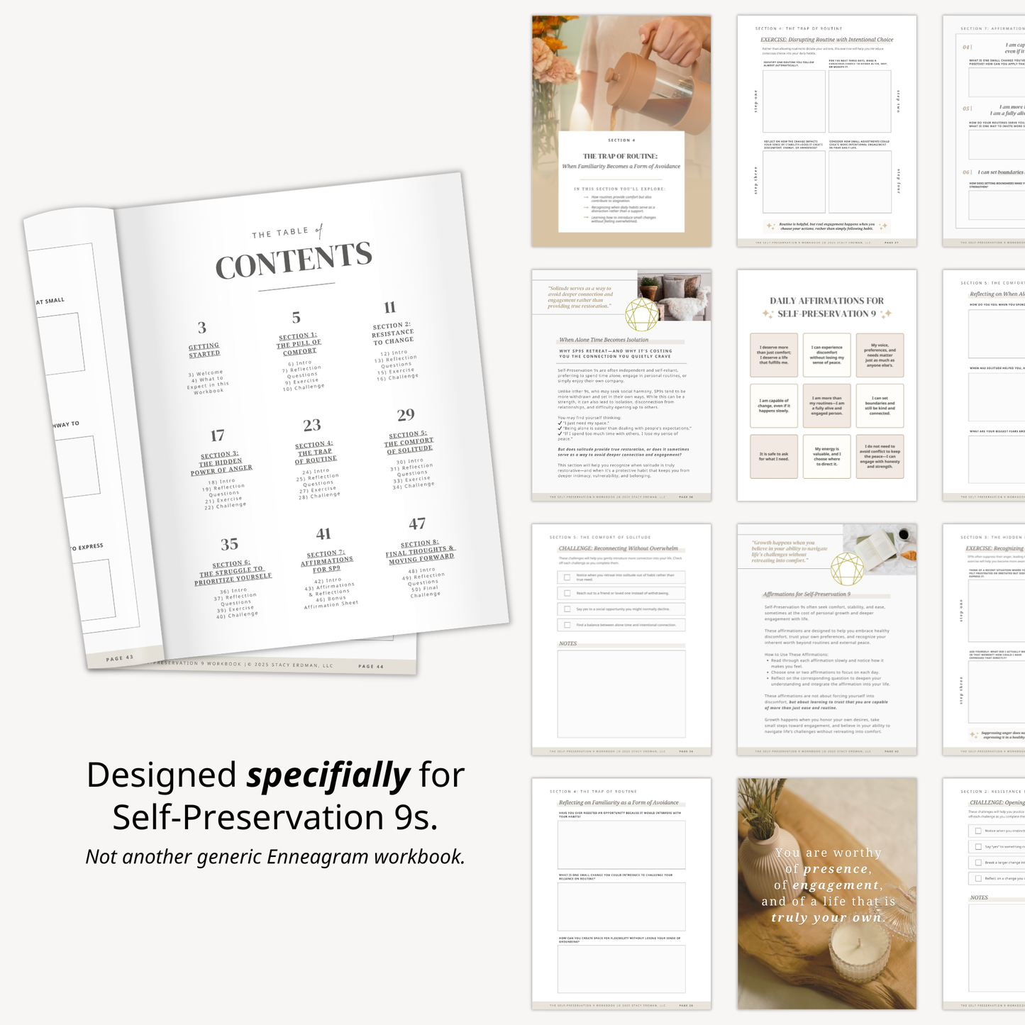 Self-Preservation 9 workbook Enneagram subtype reflection workbook mockup showing digital journaling pages