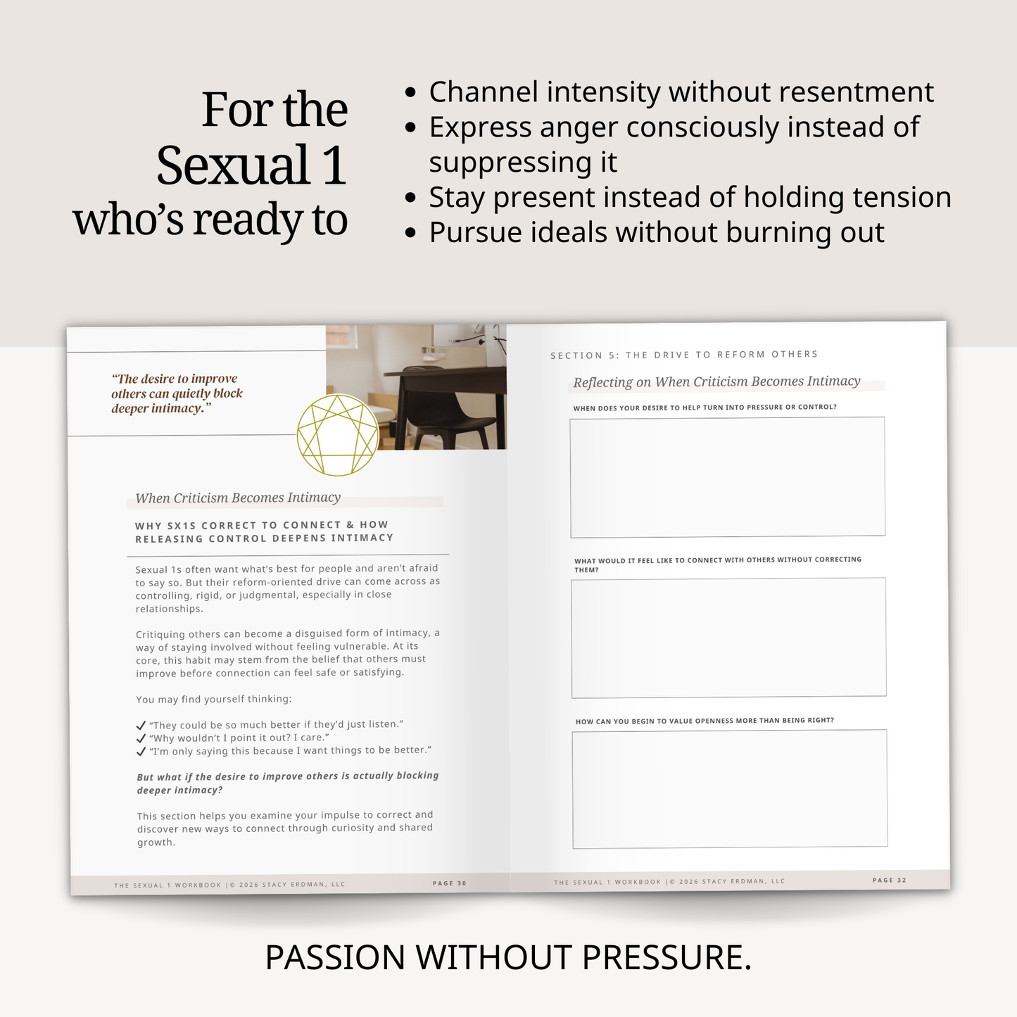 Enneagram Sexual 1 Workbook (SX1)