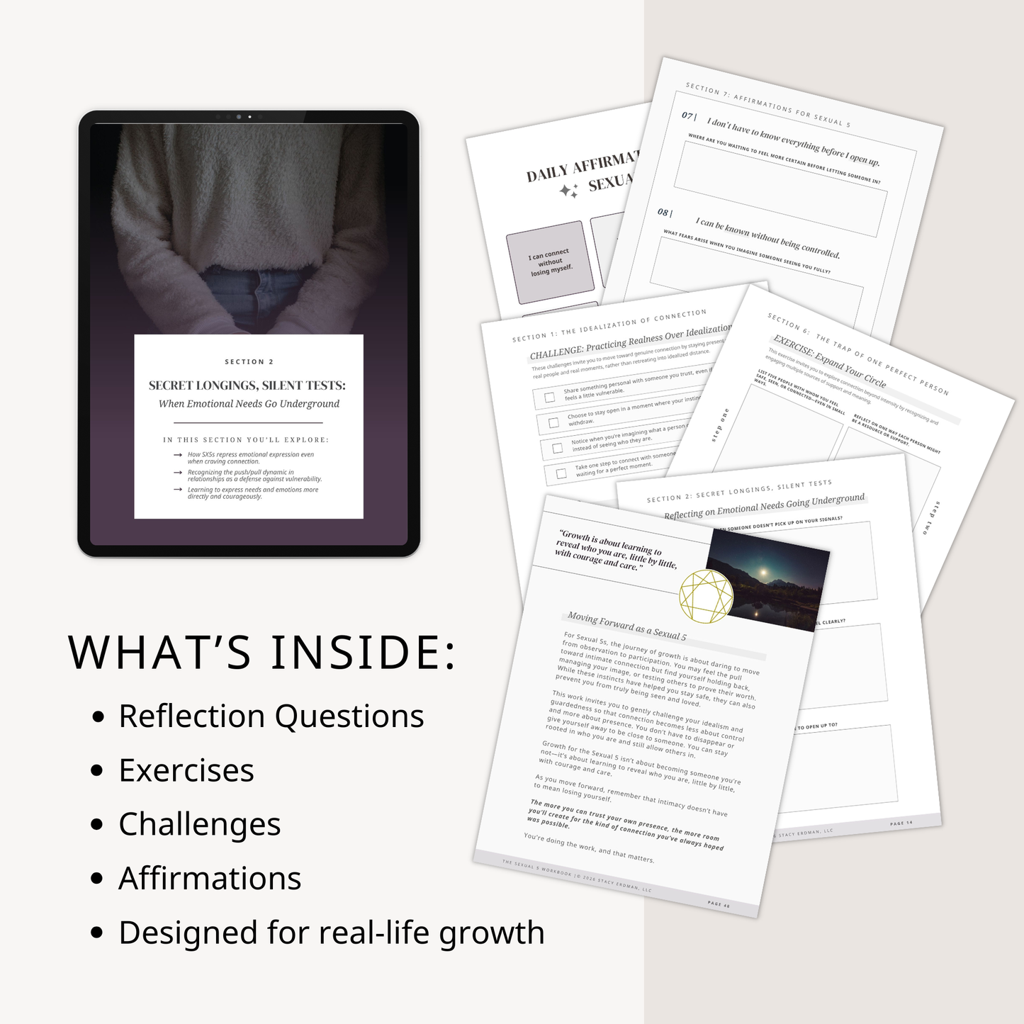 Enneagram Sexual 5 Workbook (SX5)