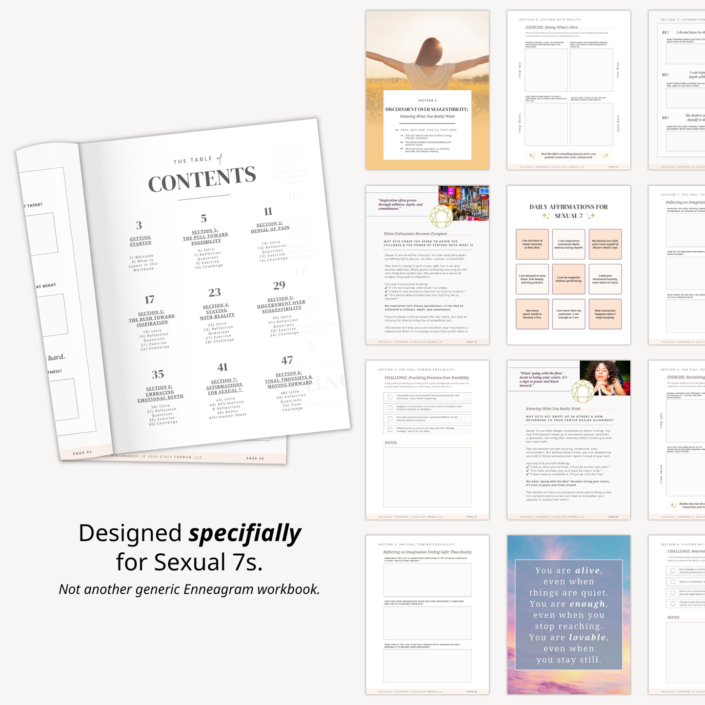 Enneagram Sexual 7 Workbook (SX7)